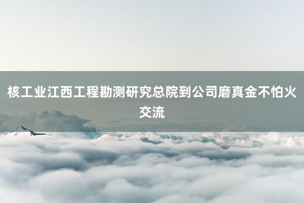 核工业江西工程勘测研究总院到公司磨真金不怕火交流